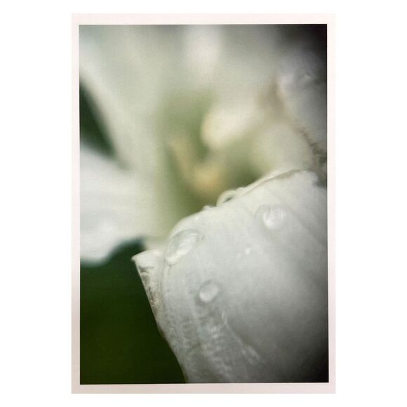 Cottage Series #10 ACEO Macro Photo *Limited Edition* Nature Mini Art Card - Picture 1 of 1